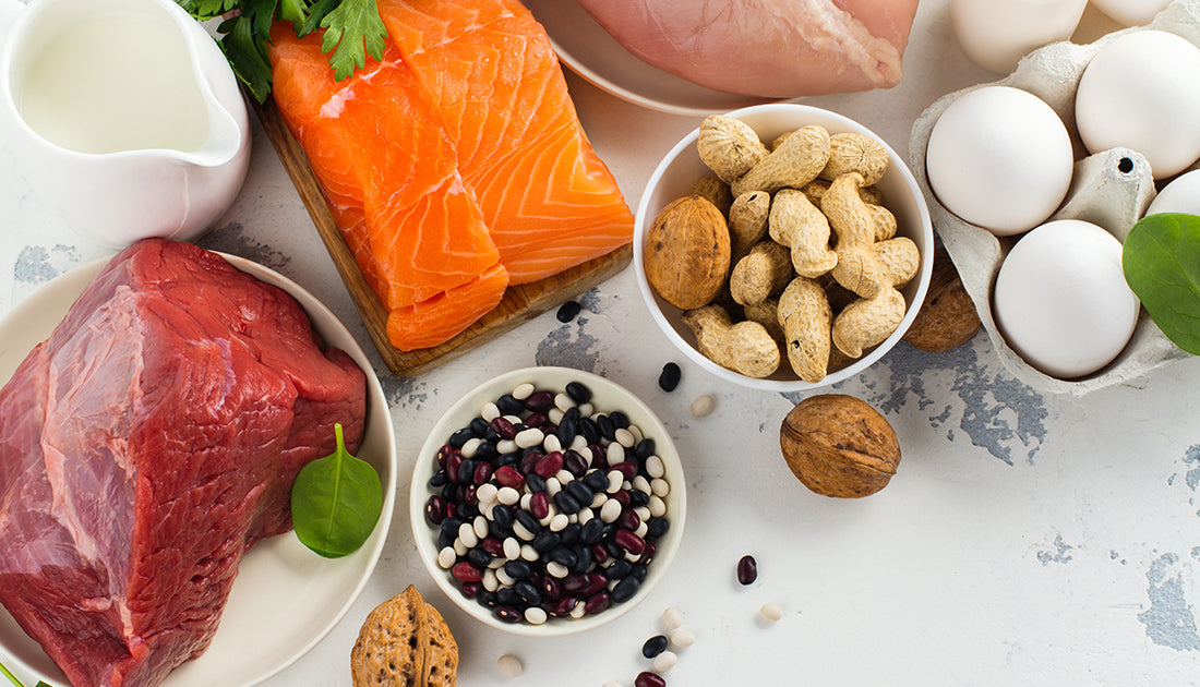 healthy assortment of protein for muscle gain and fat loss