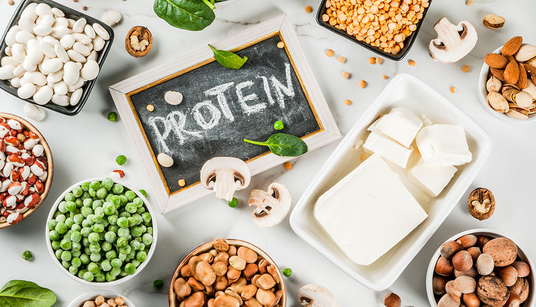 An assortment of nuts, beans, veggies, & dairy foods that are packed with protein