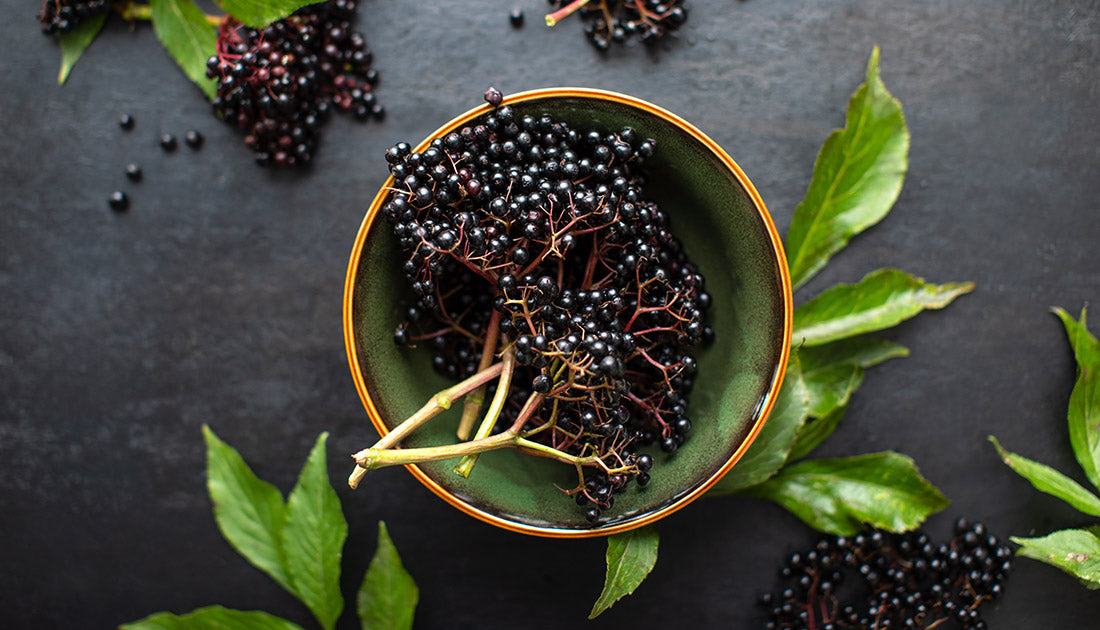 A bowl of fresh blackberries, highlighting natural superfood benefits, aligning with SteelFit USA's focus on health and fitness nutrition.