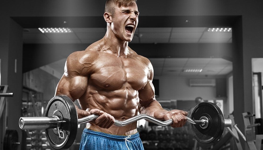 A muscular man weightlifting in a gym, showcasing strength and fitness, reflecting SteelFit USA's focus on building muscle and achieving fitness goals.