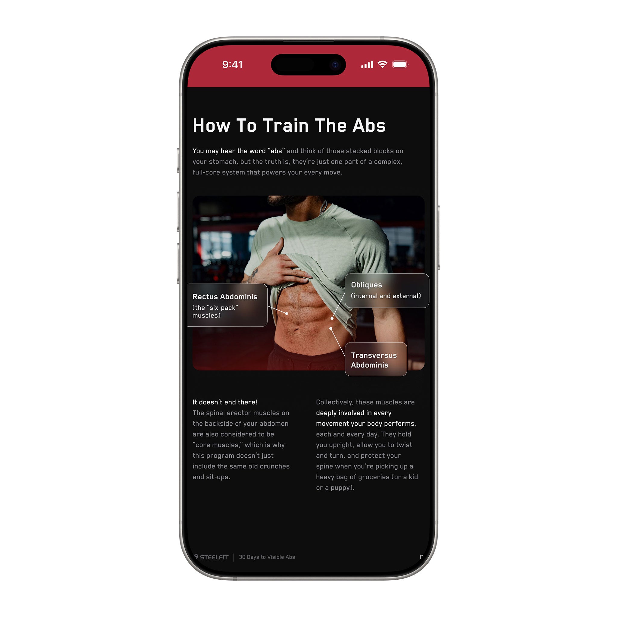 Smartphone displaying “30 Days to Visible Abs” infographic, highlighting abdominal muscles and core functions, promoting SteelFit's comprehensive training and nutrition plan for defined abs.