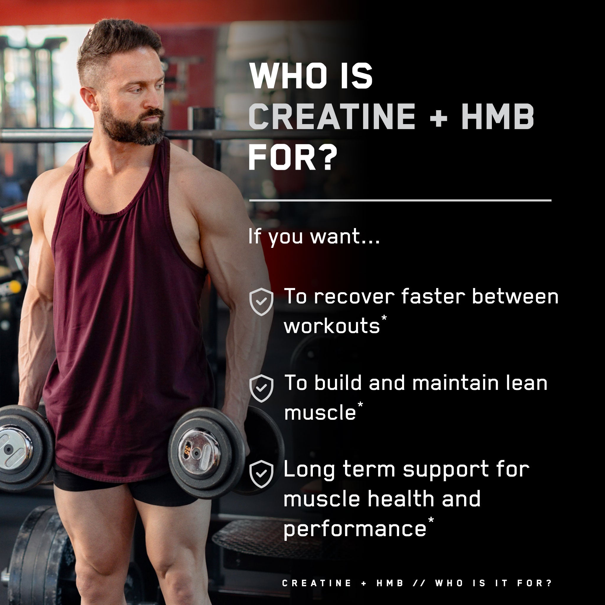 Muscular man in gym holding dumbbells; text highlights benefits of SteelFit Creatine + HMB for muscle recovery, lean muscle maintenance, and long-term performance support.