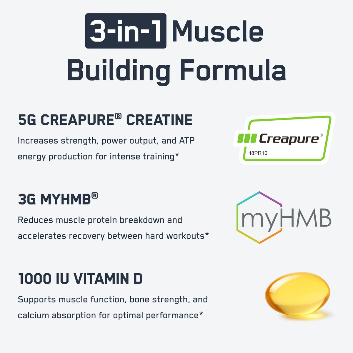 Creatine + HMB
