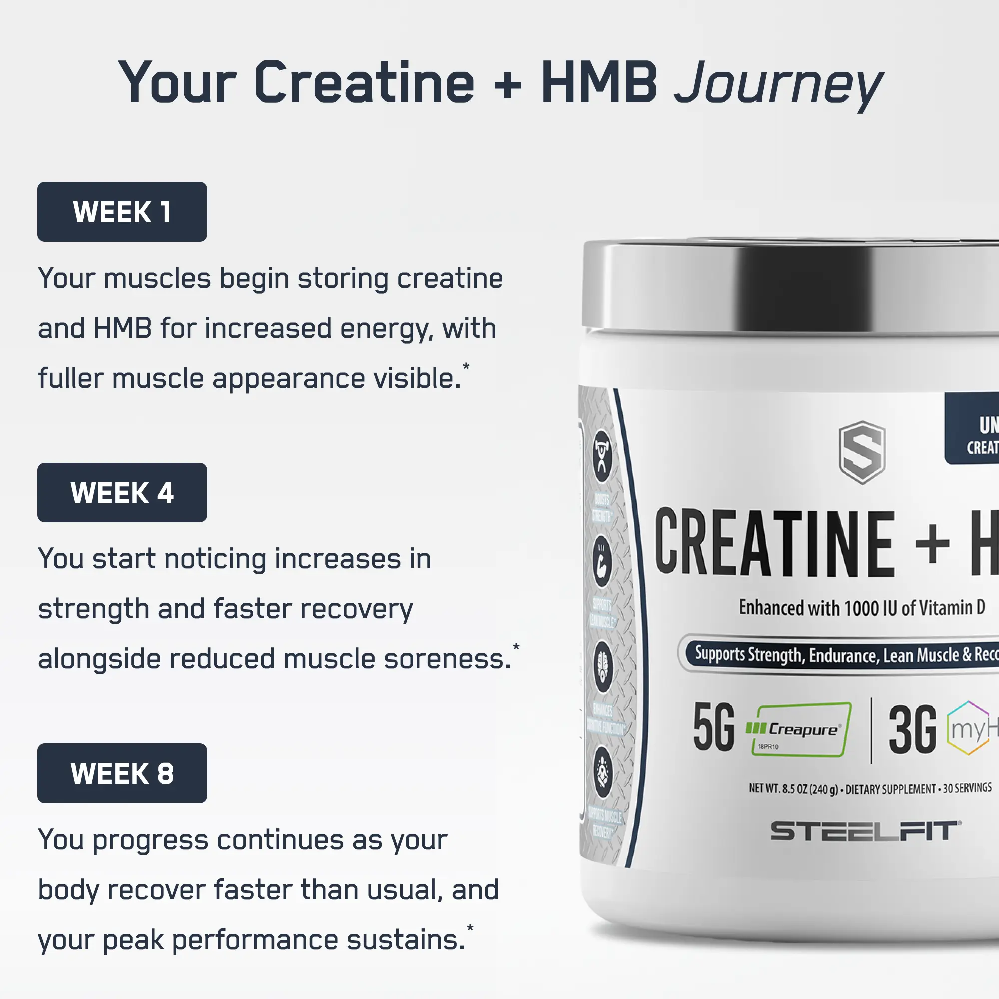 SteelFit's Creatine + HMB supplement tub, featuring Creapure® creatine, myHMB®, and Vitamin D, supports strength, endurance, lean muscle, and recovery with a progressive eight-week benefit timeline.