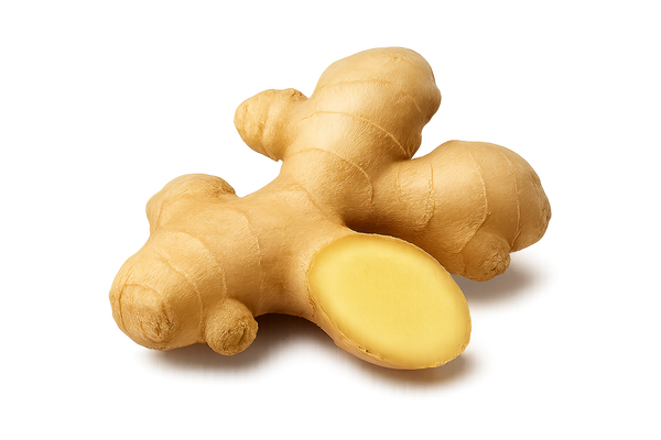 Ginger Root Extract