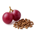 Grape Seed Extract