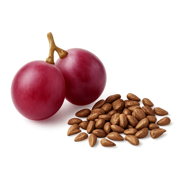 Grape Seed Extract