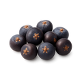 Juniper Berries Fruit Extract