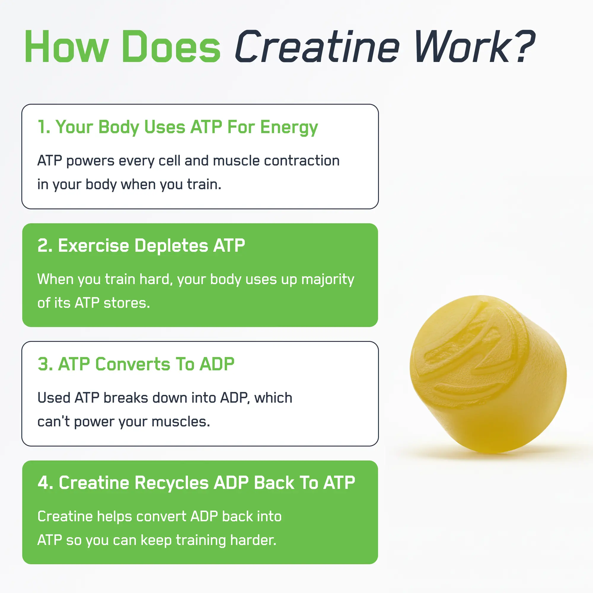 Infographic titled “How Does Creatine Work?” with four steps and a yellow creatine tablet. Promotes SteelFit® Creatine Monohydrate Gummies for enhanced workout performance.