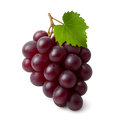 Resveratrol