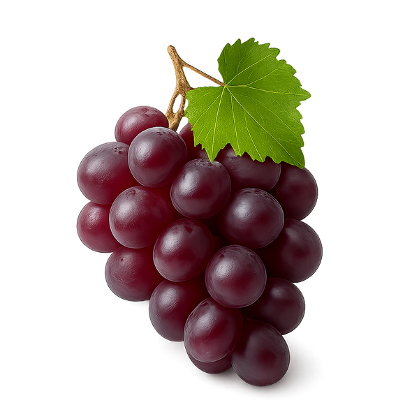 Resveratrol