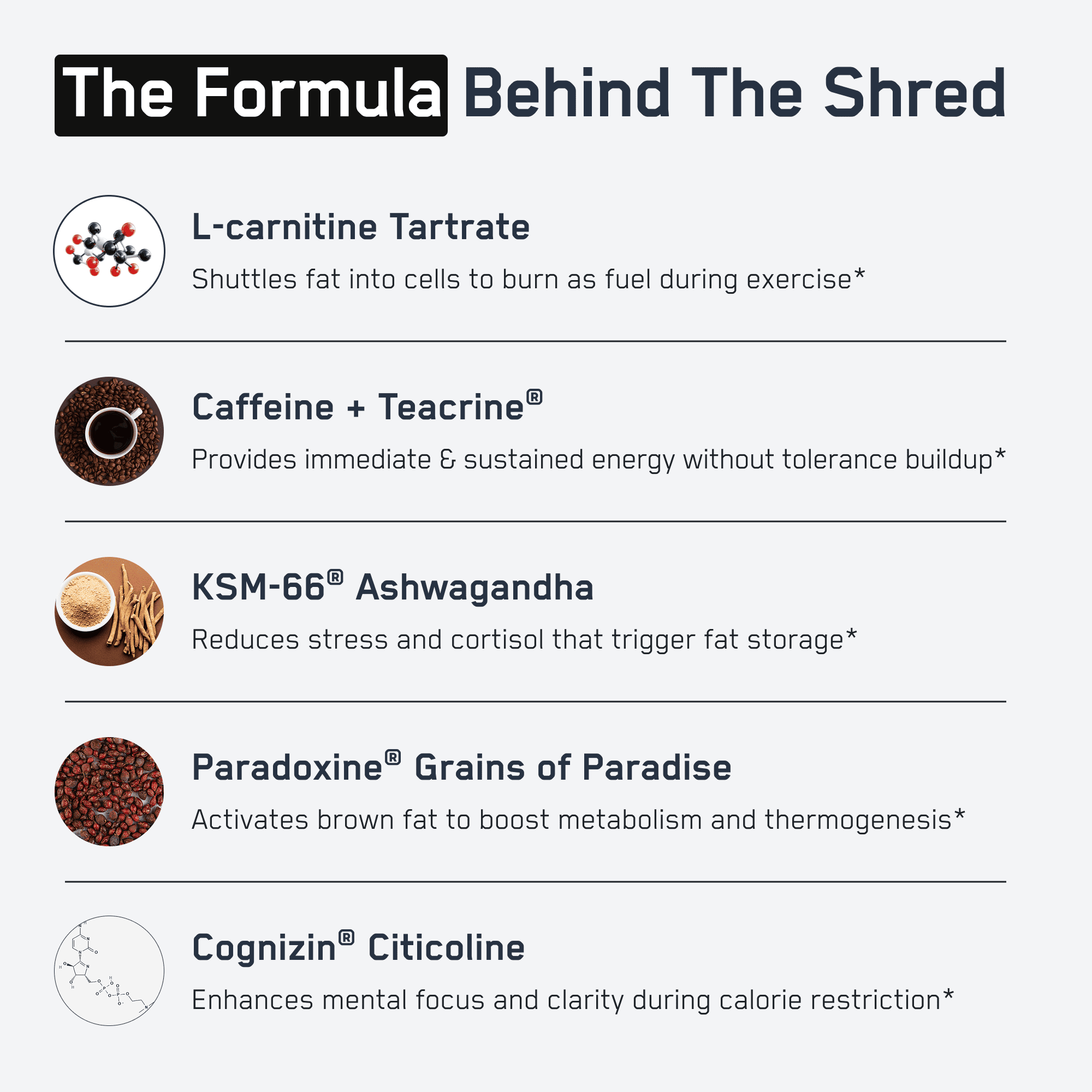 Shredded Steel® graphic detailing five ingredients with icons, highlighting their roles in fat burning, metabolism boosting, energy enhancement, and stress reduction.
