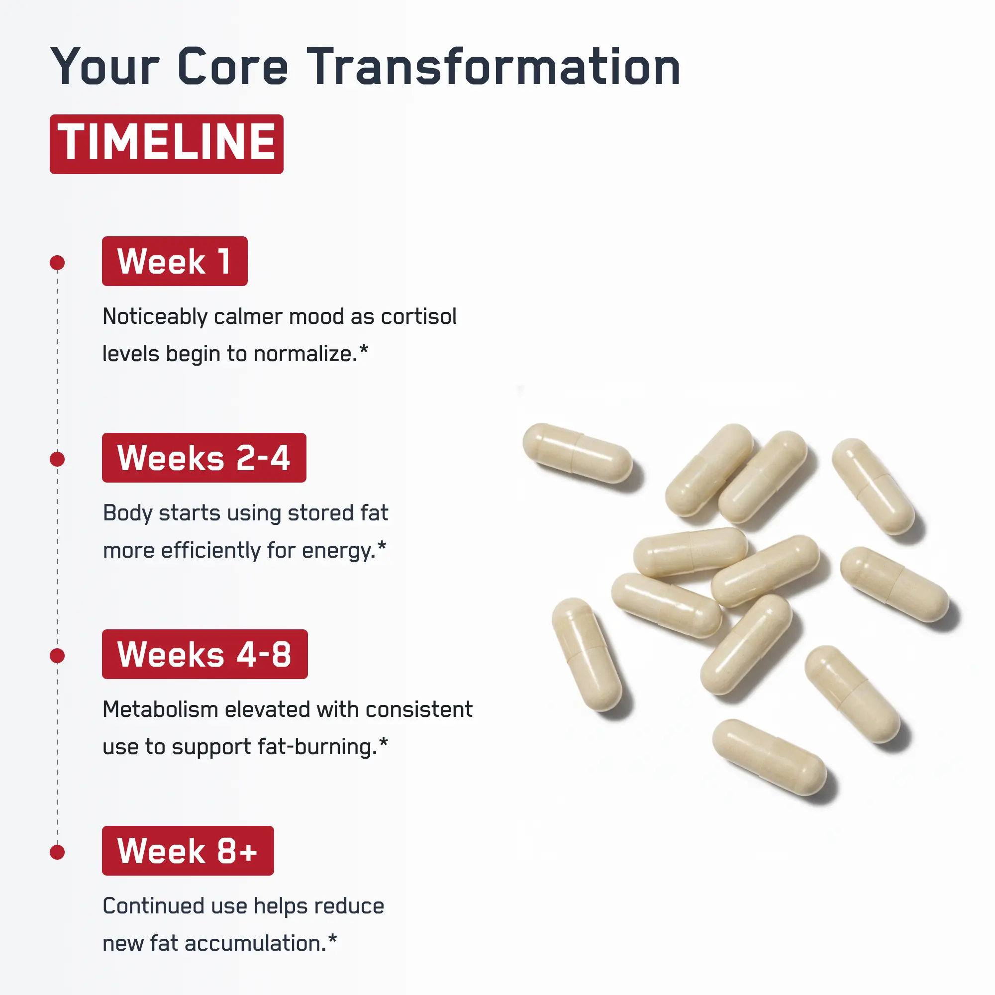 Steel Core® timeline shows fat loss stages alongside beige capsules, highlighting benefits like converting fat to energy and reducing abdominal fat with clinical doses.