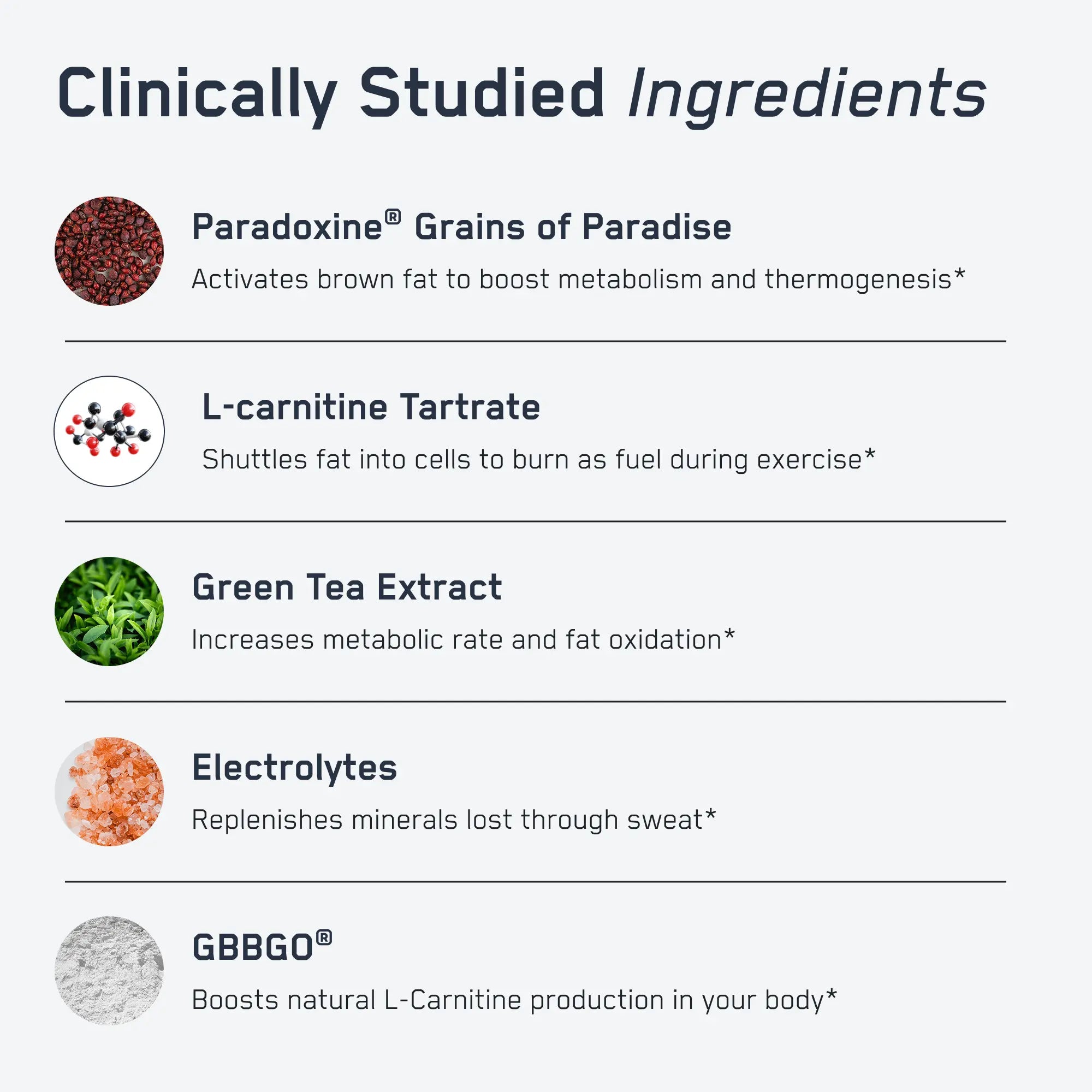 Steel Sweat® graphic featuring ingredients like Paradoxine®, L-carnitine, and green tea extract, highlighting metabolism boost, thermogenesis, and fat oxidation benefits.*