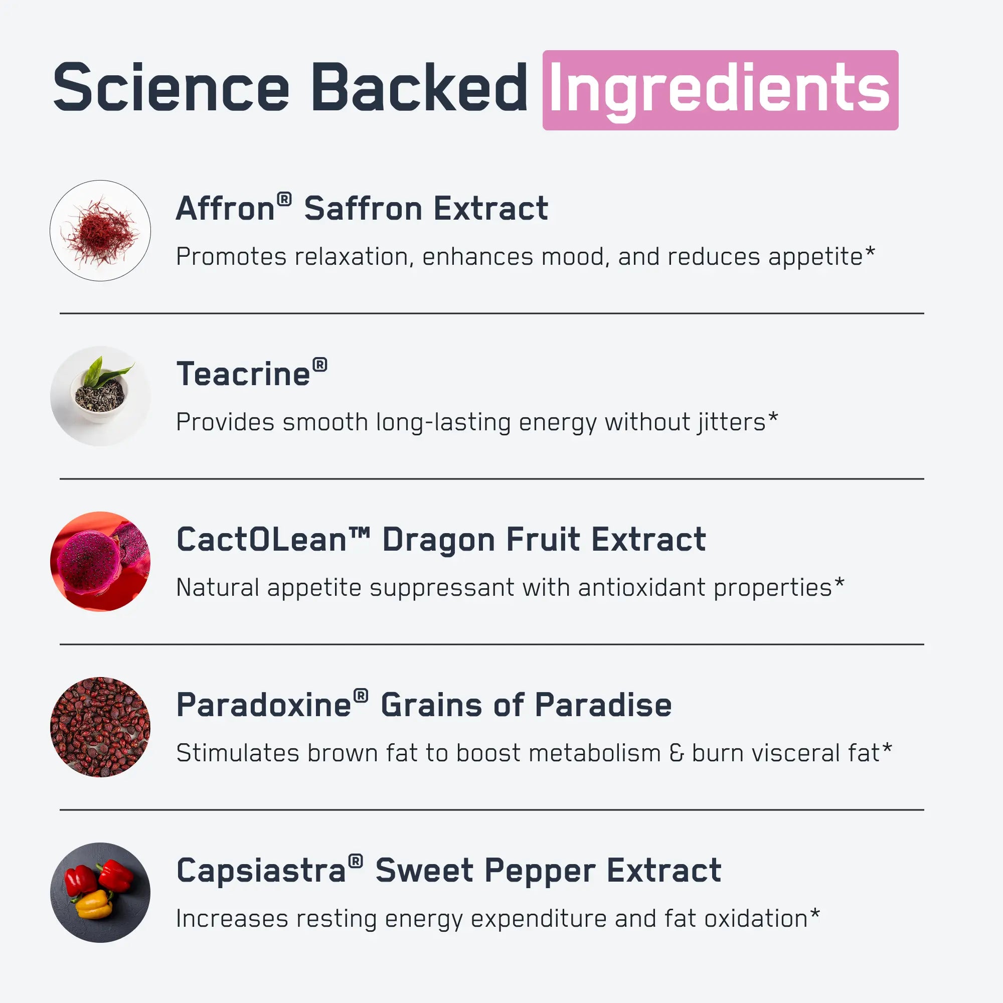 “Infographic showcasing Steel Slim®'s key ingredients: Affron®, Teacrine®, CactOLean™, Paradoxine®, Capsiastra®; promoting mood enhancement, energy boost, metabolism support, and appetite suppression.”