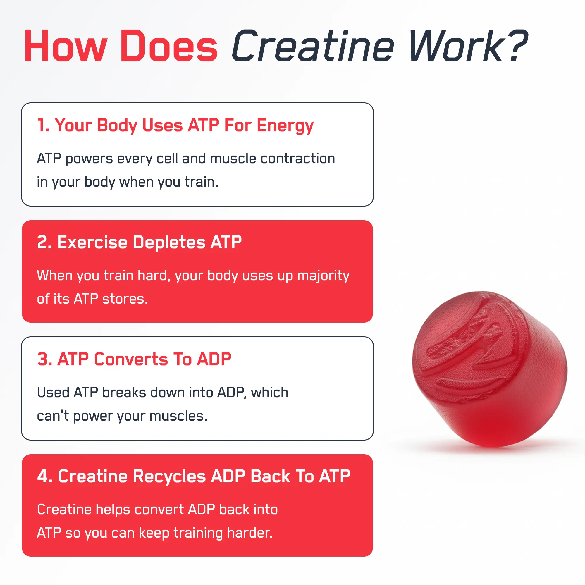 Vierstufige Infografik zur Funktion von Kreatin mit einem roten Kreatin-Supplement-Pellet; wirbt für SteelFit® Creatine Monohydrate Gummies, die 5G Creapure® Creatine Monohydrate für verbesserte Trainingsergebnisse bieten.